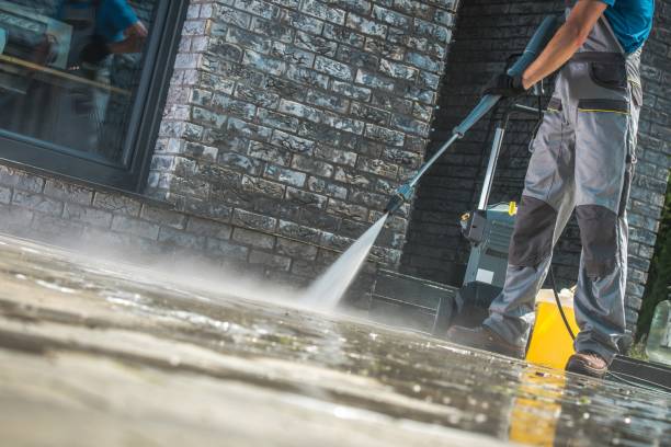 Best Animal Enclosure Cleaning  in Blissfield, MI